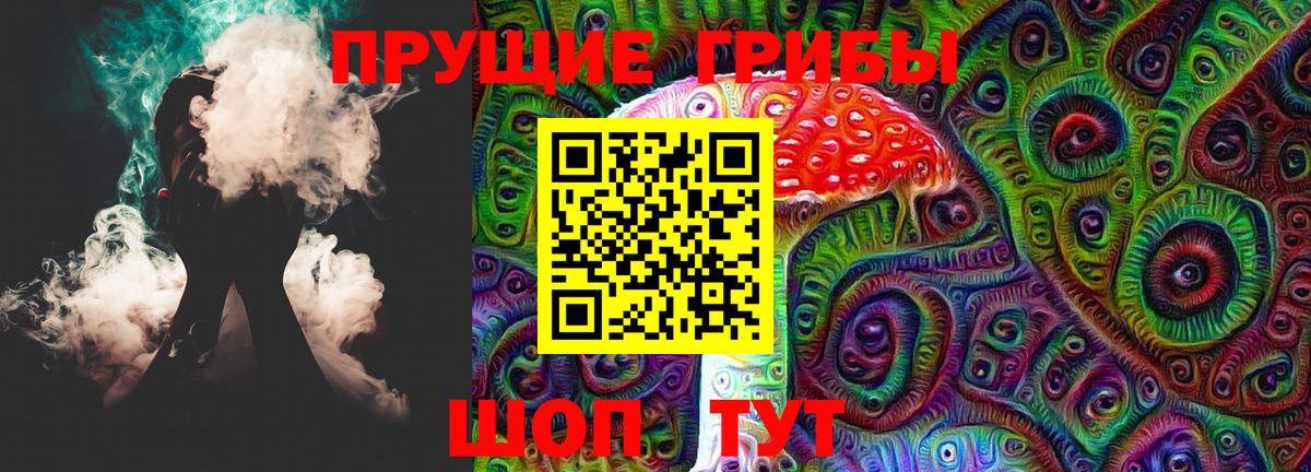 Галлюциногенные грибы Psilocybe Черняховск