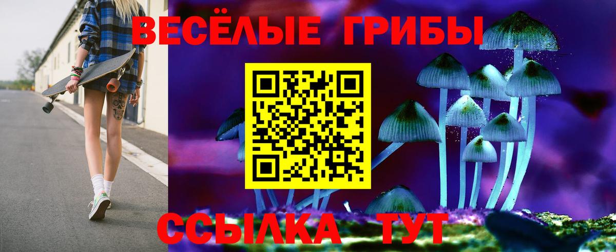 Черняховск  Псилоцибиновые грибы Psilocybe  наркотики  Вход с VPN  Галлюциногенные грибы GOLDEN TEACHER 